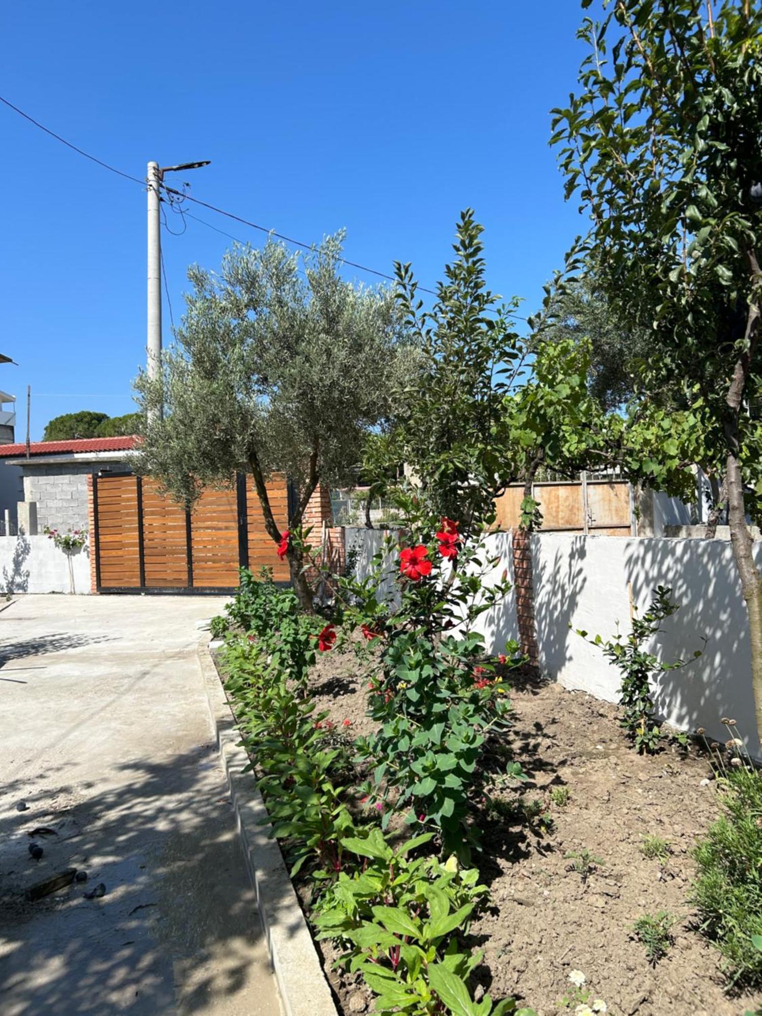 Vila Roan Vlorë Eksteriør billede